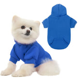 KOOLTAIL Basic Dog Hoodie blue front view provides warm everyday comfort on chilly walks