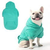 KOOLTAIL Basic Dog Hoodie lake blue front view highlights warm, cozy comfort for dogs