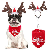 KOOLTAIL Christmas elk headband on dog for festive photos