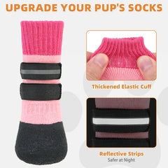KOOLTAIL dog boots with waterproof neoprene upper protect paws on wet days.