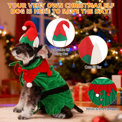 KOOLTAIL dog Christmas costume elf hat on dog ideal for festive family gatherings