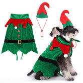KOOLTAIL dog Christmas costume elf hat closeup showing secure fit for holiday photos