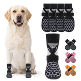 KOOLTAIL dog socks on paws for hot pavement with breathable comfort.