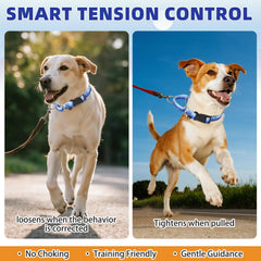 KOOLTAIL martingale collar padded with neoprene provides soft, chafe-free comfort.