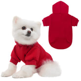 KOOLTAIL Sudadera para perros, vista frontal, abriga y luce con estilo.