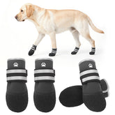 KOOLTAIL Summer Dog Shoes on paw on pavement showing a secure fit for walks