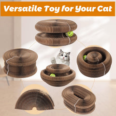 Korvanta Magic Organ cat-scratcher mesh-honeycomb uses eco-friendly materials to protect claws.