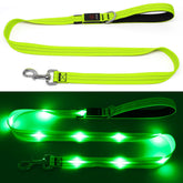 KOSKILL LED dog leash with bright visibility for safer night walks.