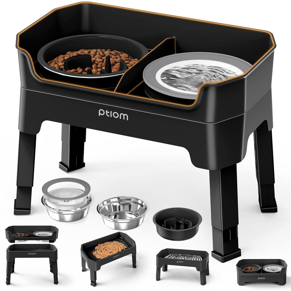 KPWACD 4-in-1 elevated dog bowls stand supports comfortable feeding posture.