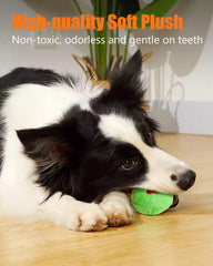 KrauzPet squeaky ball in puppy-joy face invites curiosity and longer play