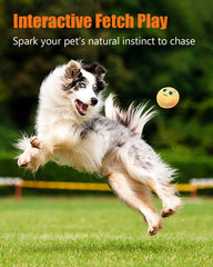KrauzPet squeaky dog toy ball in toss-fetch action for exercise