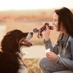 Kseroo nylon chew textures close up highlight ridges and grooves for engaging bite.