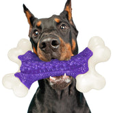 Kseroo tough dog chew toy bacon flavor for large dogs during a chew session
