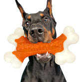 Kseroo tough-nylon-chew for large dogs reinforces jaws during heavy chewing