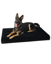 KSIIIA orthopedic dog bed front view highlights supportive foam for joints.