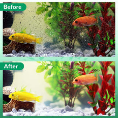 Kucbraly activated carbon filter media enhances odor and discoloration removal