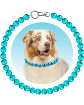 KUDES Chunky Pearl Dog Necklace turquoise pearls shine on a medium dog for a chic look.