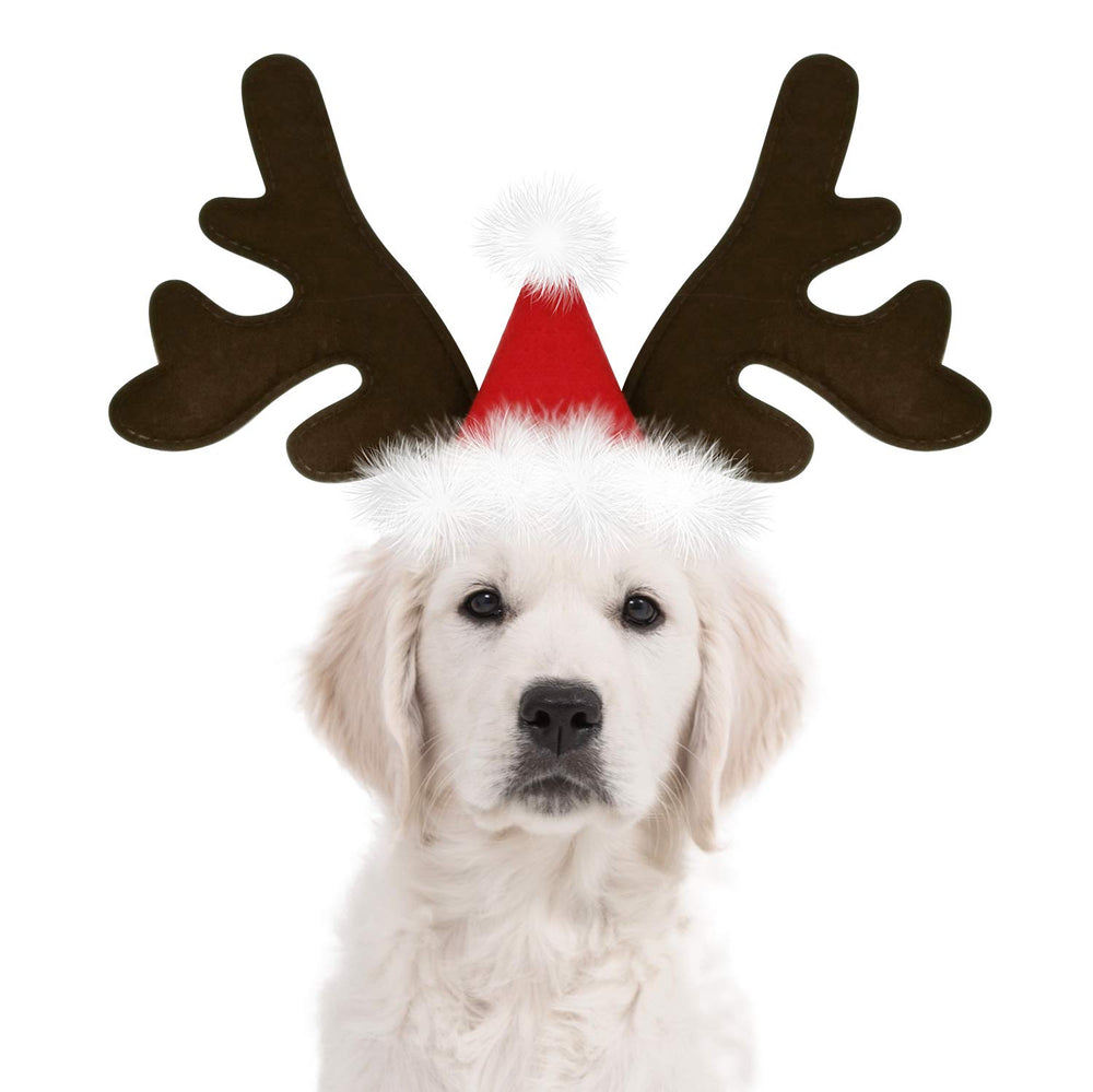 KUDES dog Christmas reindeer antlers headband front view for festive look