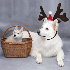 KUDES reindeer antlers headband on dog shows comfortable fit