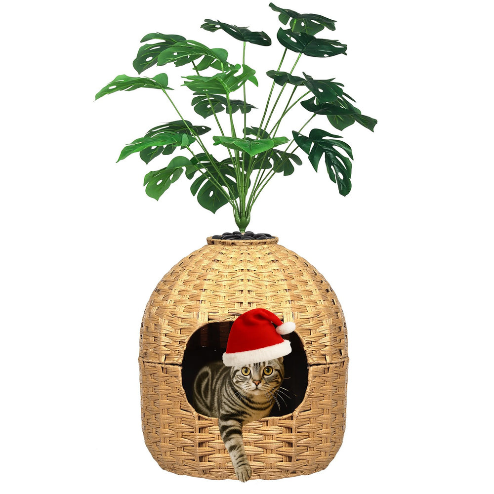 Kukikan hidden litter box planter blends seamlessly with living room decor for privacy.