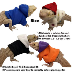KUNBIUH lizard hoodie orange back view shows secure Velcro closure for easy dressing