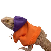 KUNBIUH lizard hoodie orange front view highlights soft fabric for bearded dragons