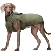 Kuoser army green dog winter coat on dog provides warmth for outdoor winter walks.