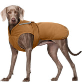 Kuoser canvas dog coat with water-resistant exterior for wet-weather walks