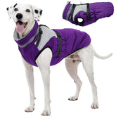 Kuoser dog coat with built-in harness offers secure leash attachment during walks