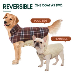 Kuoser dog coat back leash hole enables safe walks.