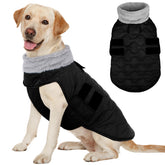 Kuoser dog jacket winter-waterproof keeps large dogs warm during snowy walks.
