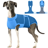 Kuoser dog recovery suit blue on dog demonstrates full-coverage protection during post-surgery recovery.