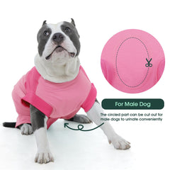 Kuoser soft skin-friendly fabric keeps dog comfortable during light activity.