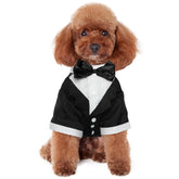 Kuoser dog tuxedo with bow tie front view for wedding-day charm