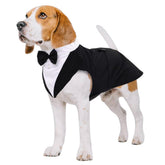 Kuoser dog tuxedo jacket close-up showing formal attire for weddings.