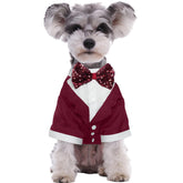 Kuoser dog tuxedo red bow-tie closeup shows premium stitching for a festive wedding-ready look
