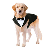 Kuoser dog tuxedo set front view highlighting polished wedding-ready look.