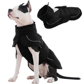 Kuoser dog winter coat front view highlights full-body warmth for winter walks