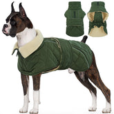 Kuoser dog winter coat front view demonstrates secure fit for cold-weather walks.