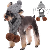 Kuoser dog winter hat knitted grey on a pet, keeps ears warm during walks.