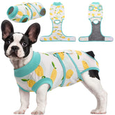 Kuoser Recovery Suit on dog back view, comfortable post-surgery wear for healing.