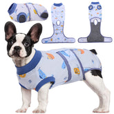Kuoser Recovery Suit worn by a dog model for post-surgery comfort.