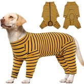 Kuoser Recovery Suit on a large dog from back view showing full torso coverage