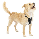Kurgo Enhanced Strength Tru-Fit harness front view showing crash-tested safety and secure fit.