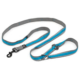Kurgo Quantum leash in 6-foot mode for safe daily walks and training.