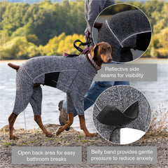 Kurgo Stowe Base Layer reflective seams enhance visibility during dusk or dawn walks.