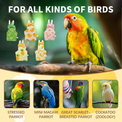 KURTOPLLY bird diaper pattern varieties show fashionable options