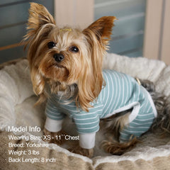 KYEESE dog pajamas with stretchable neckline for easy dressing and removal.
