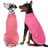 KYEESE two-pack dog sweater solid style worn for cozy indoor warmth.