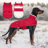 KYEESE dog coat back view provides full coverage and weather-ready warmth.